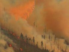 Belushi’s Farm, featured on the Discovery series GROWING BELUSHI, is located three miles away from the wildfires in Oregon, as the farm’s social media reveals.